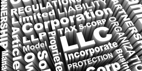 California general partnership limited liability company LLC